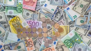 Kursy walut. Ile kosztują euro, dolar i frank?