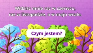 Bardzo podchwytliwy test IQ dla najbystrzejszych. 99% osób popełnia ten sam błąd