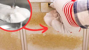 Ten składnik działa na tłuszcz jak rozpuszczalnik. Szybko wyczyścisz nim brudny okap