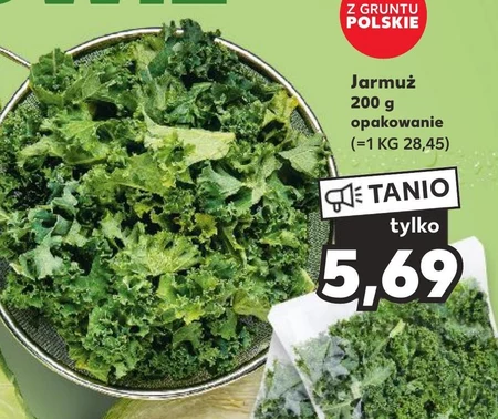 Jarmuż