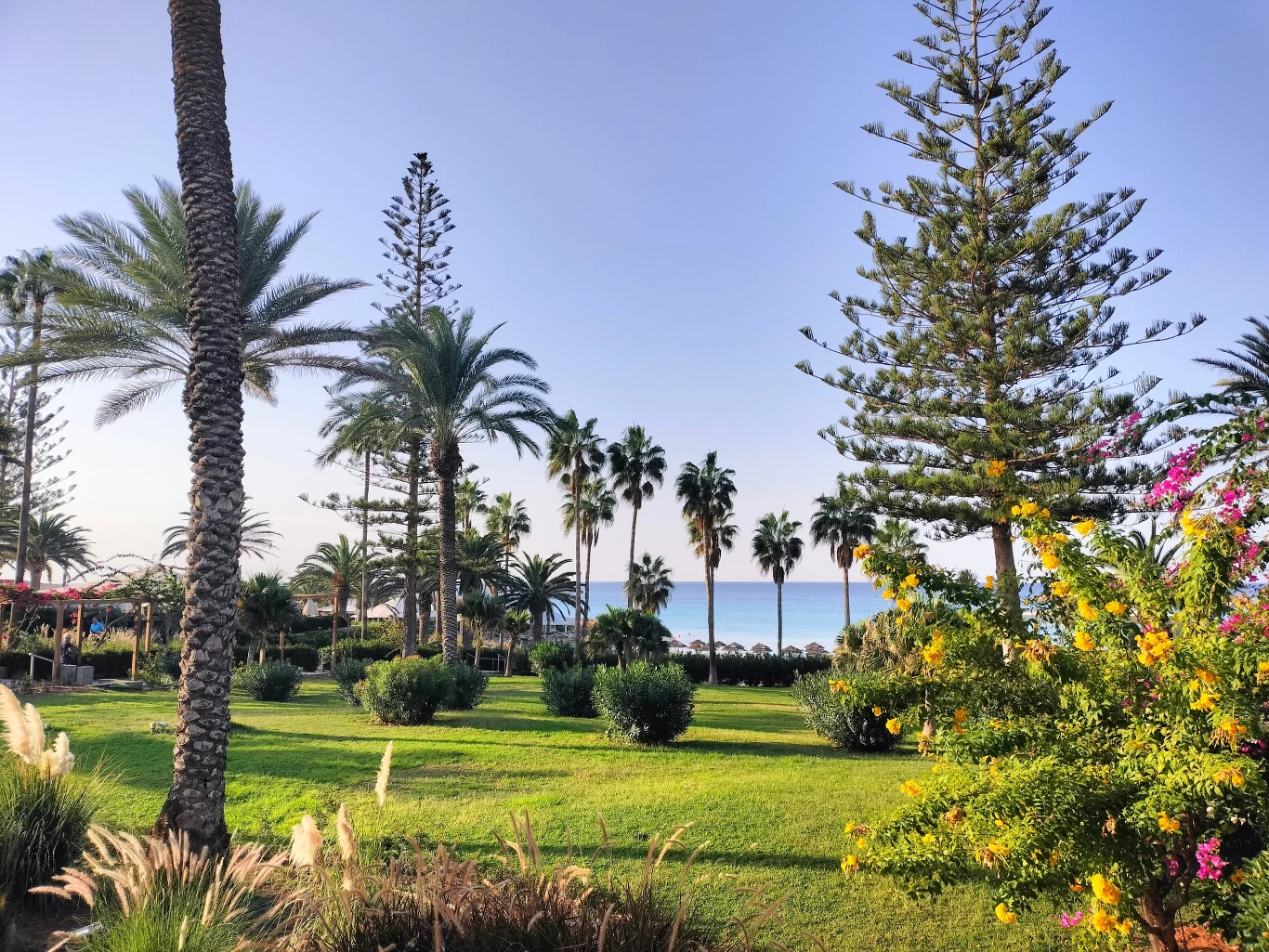 Ogród w Nissi Beach Hotel w Agia Napa Ogród w Nissi Beach Hotel w Agia Napa