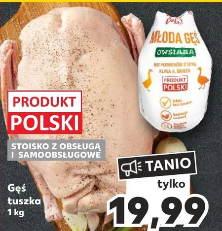 Gęś