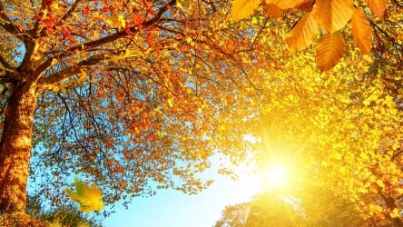 Październik był wyjątkowo ciepłym miesiącem. Synoptyk IMGW ocenia, że możemy być świadkami najcieplejszej jesieni w historii pomiarów w Polsce