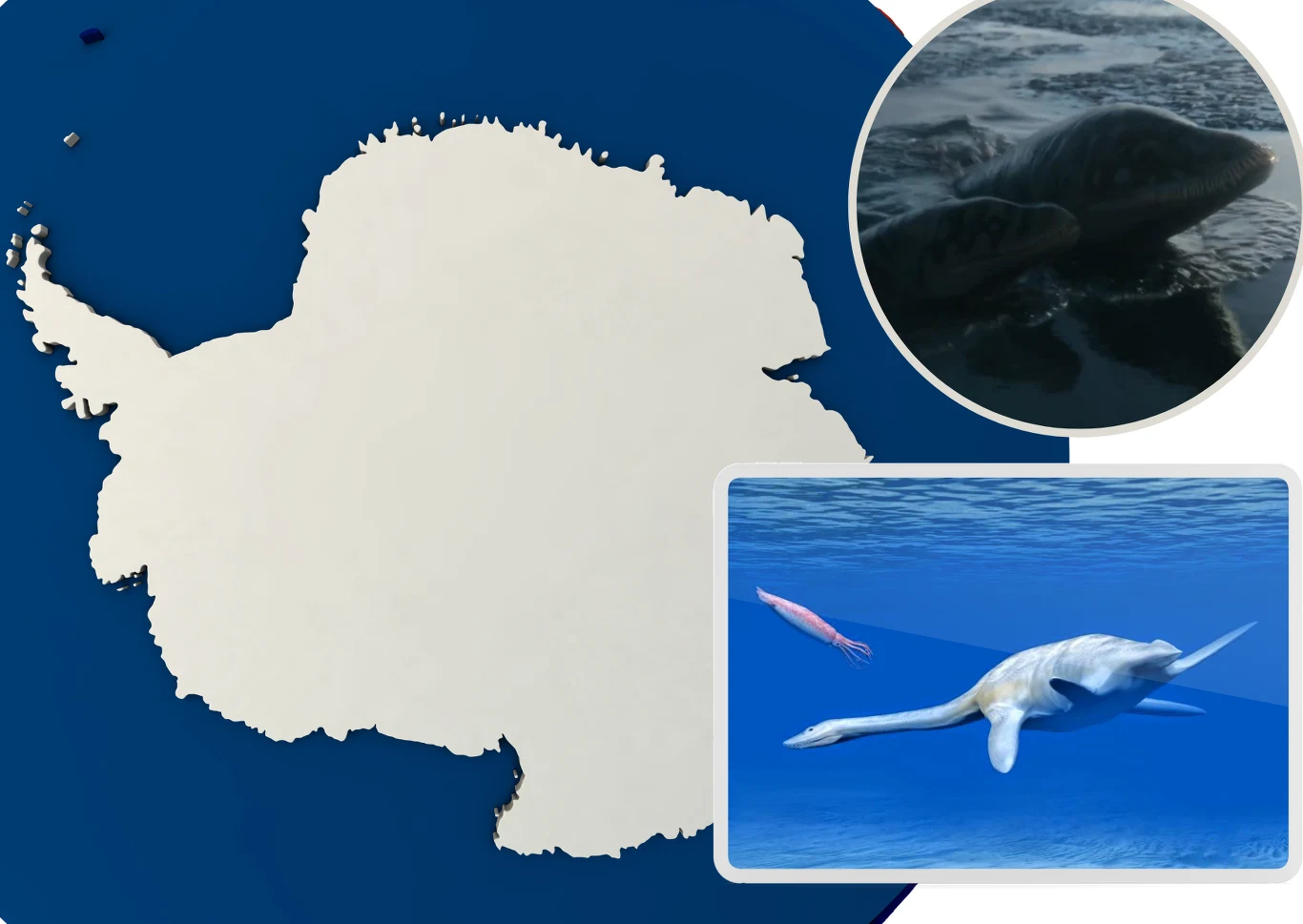 Morturneria - plezjozaur z Antarktydy