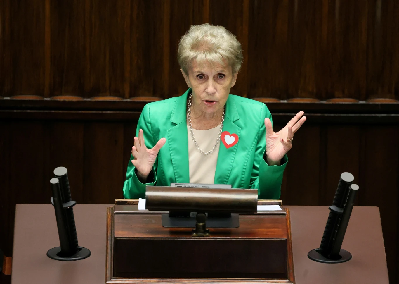 Iwona Śledzińska-Katarasińska Iwona Śledzińska-Katarasińska