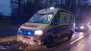 We wsi Pozezdrze na karetkę spadło drzewo