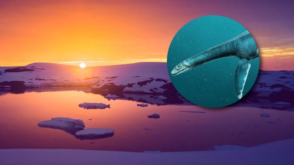 Morturneria to fascynujący dinozaur przypominający potwora z Loch Ness, który żył w Antarktyce miliony lat temu
