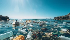 Inwazja na śmieciach. Groźne gatunki nauczyły się pływać na odpadach