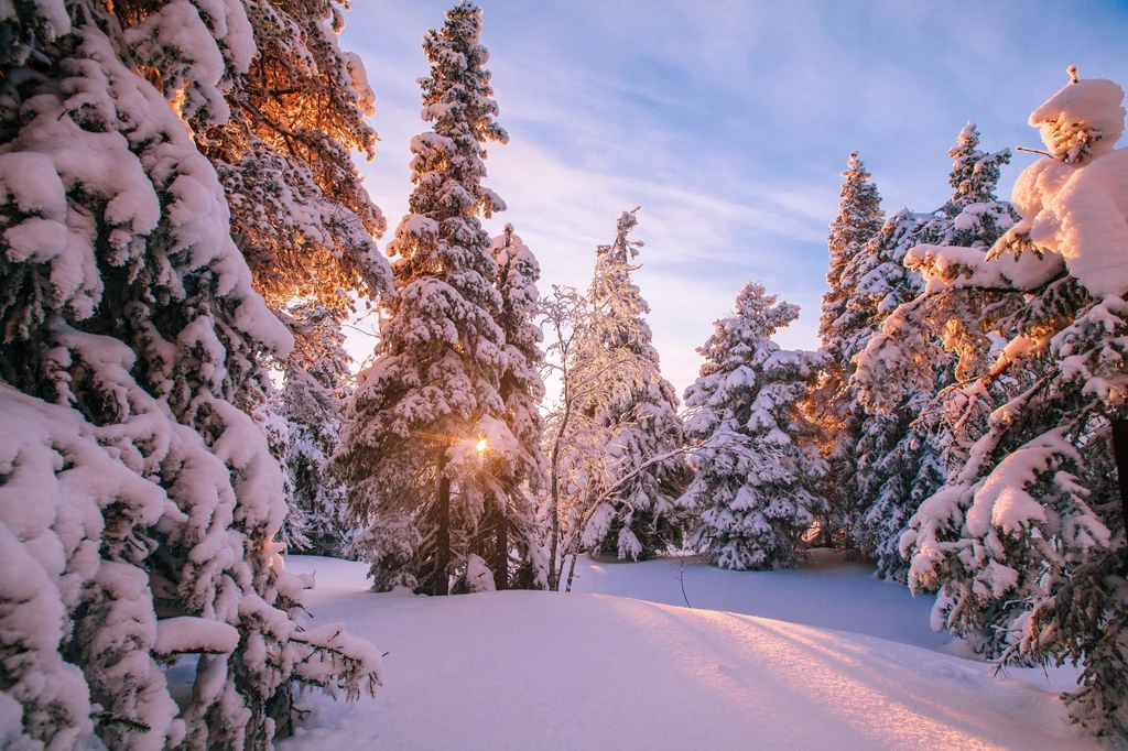 Jeden region Polski powitał zimę. Miejscami leży 30 cm śniegu/zdj. ilustracyjne