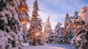 Jeden region Polski powitał zimę. Miejscami leży 30 cm śniegu