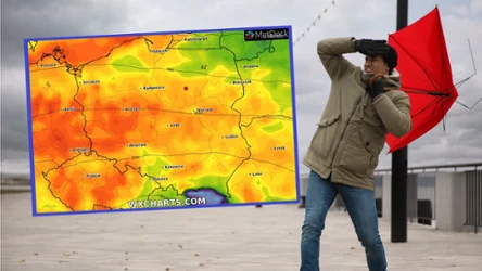 W poniedziałek silny wiatr pojawi się na północnych i południowych krańcach Polski. W związku z tym wydano alerty IMGW dla dwóch województw