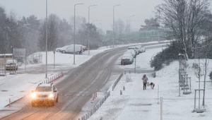 Zima w styczniu może zaskoczyć Polaków. Prognozy mówią jasno