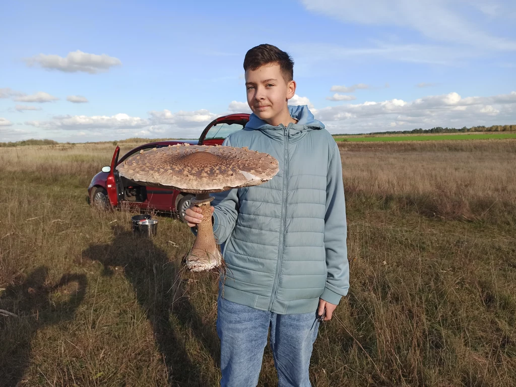 14-letni Filip wraz z tatą natknęli się na grzyba-giganta. Fot. Czytelnik Marek