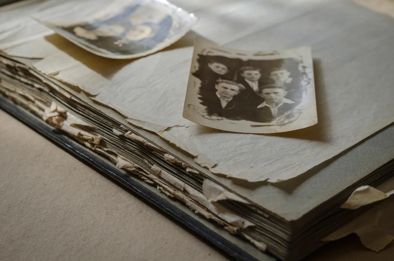 W listopadzie w kąt należy odrzucić albumy ze zdjęciami