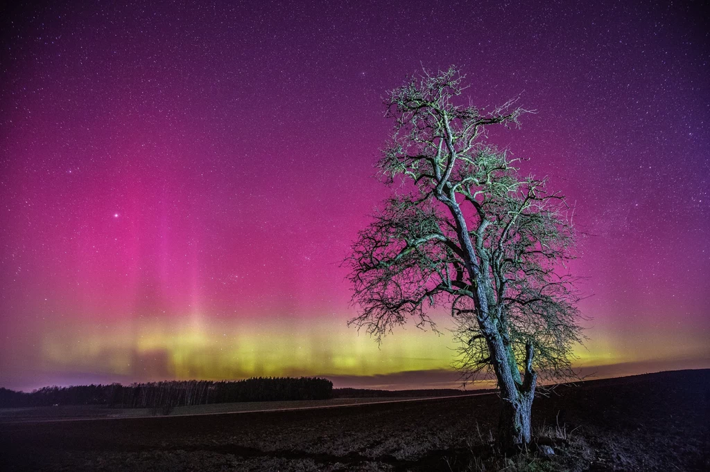 Zorza Polarna  nad Polską, 24.03.2023