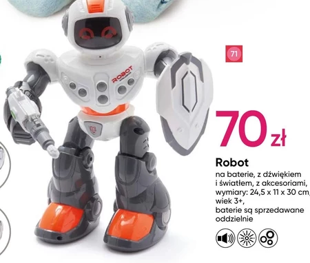 Robot