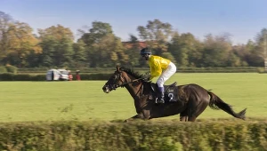 Kłótnia po uśpieniu "Mądrali". Duńska armia w ogniu krytyki