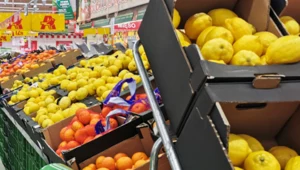 Ceny cytrusów rekordowo wysokie, wszystko przez zaraźliwą chorobę, która zaatakowała drzewka na całym świecie