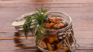 ​Kiszone rydze to hit tej jesieni. Zapomnij o marynowaniu grzybów, liczy się tylko metoda czterech jedynek