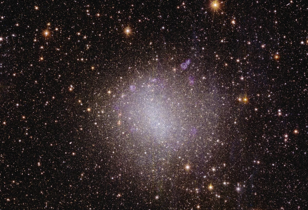 Widok Euklidesa na galaktykę nieregularną NGC 6822