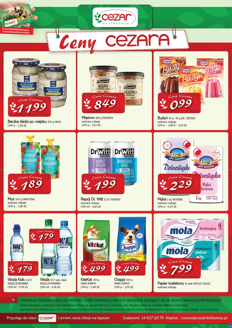 leaflet page preview image