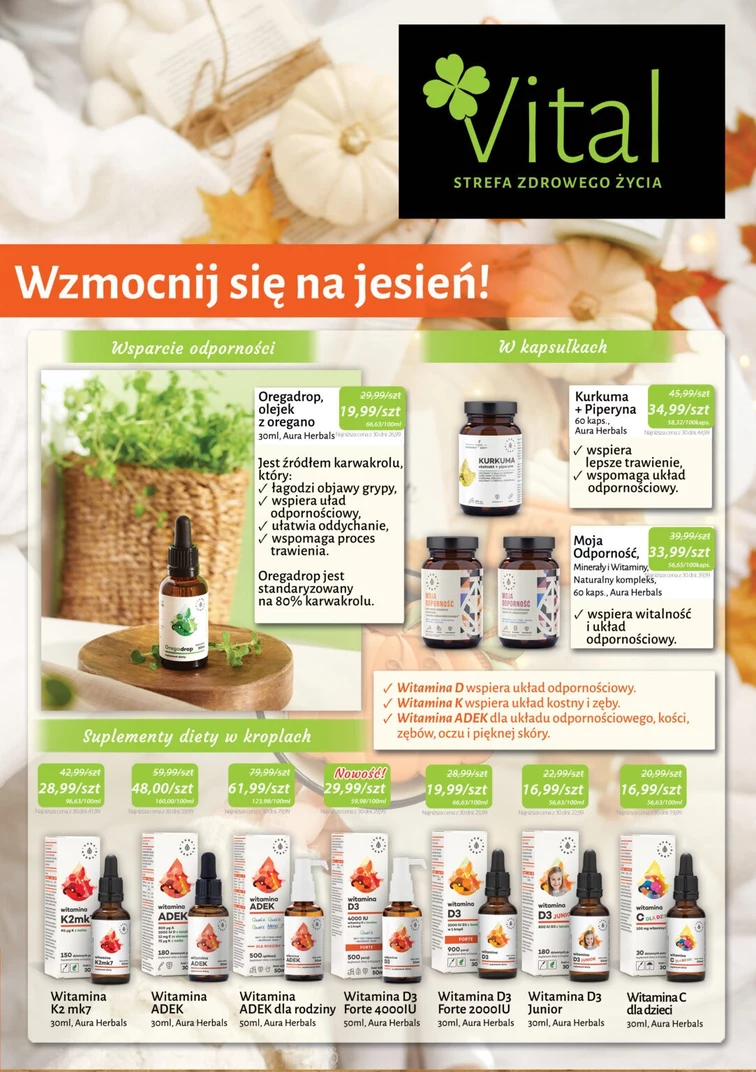leaflet page preview image