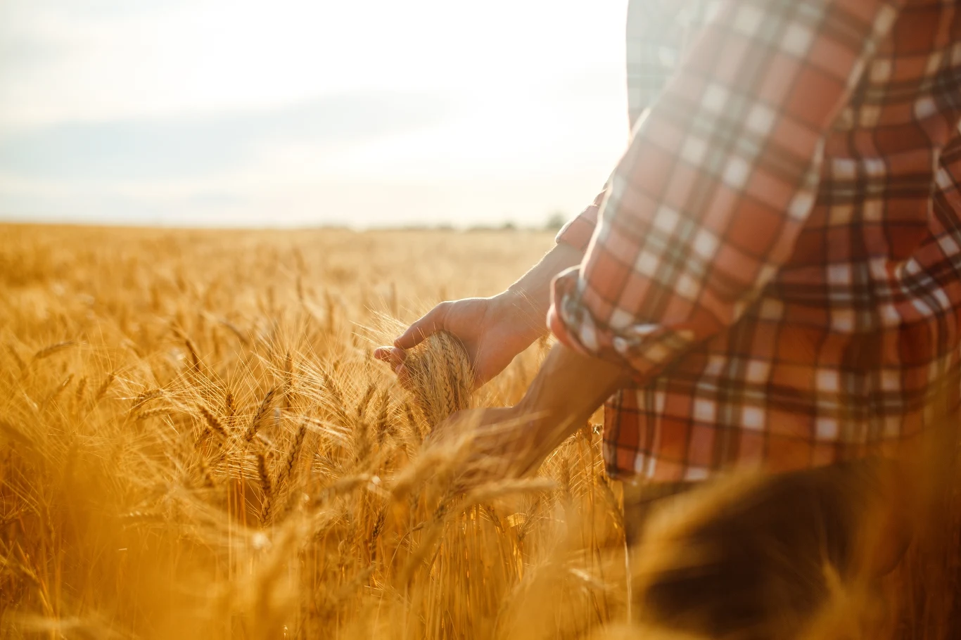 Beneficjentami emerytury stażowej prawdopodobnie będą m.in. rolnicy Beneficjentami emerytury stażowej prawdopodobnie będą m.in. rolnicy