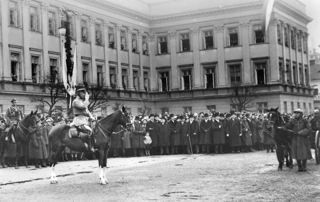 Ze względu na bardzo „pojemnościowe” traktowanie założeń koncepcji federacyjnej, część historyków podważa nawet, czy Piłsudski faktycznie chciał takiej federacji, czy liczył, że dzięki jej promowaniu zdobędzie wschodnich sojuszników, którzy pomogą mu w ostatecznym zdobyciu jak największych terenów na wschodzie.