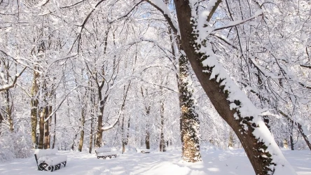 Jak wynika z eksperymentalnej prognozy długoterminowej IMGW, podczas nadchodzącej zimy temperatury i opady mają się zawierać w normie wieloletniej