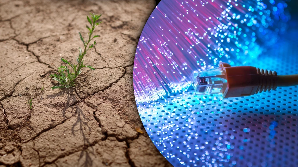 Wynalazek Polaków może pomóc m.in. rolnikom w walce z suszą i innymi skutkami globalnego ocieplenia