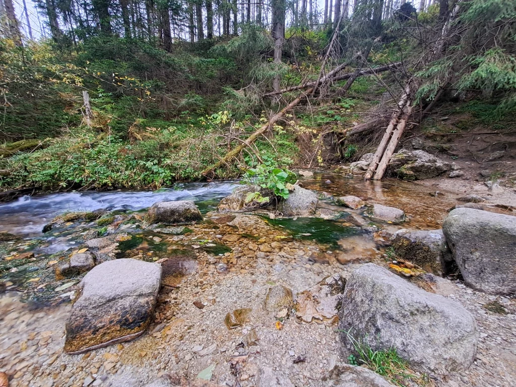 Podczas wycieczki można zobaczyć m.in. Wywierzysko Olczyskie