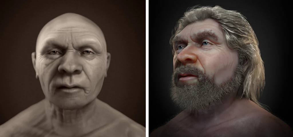 Kiedyś byliśmy przekonani, że neanderatlczycy wyglądali zupełnie inaczej. Niespodzianka!