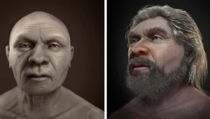 Kiedyś byliśmy przekonani, że neanderatlczycy wyglądali zupełnie inaczej. Niespodzianka!