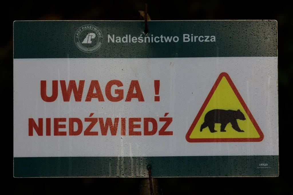 Znak ostrzegawczy na Pogórzu Przemyskim