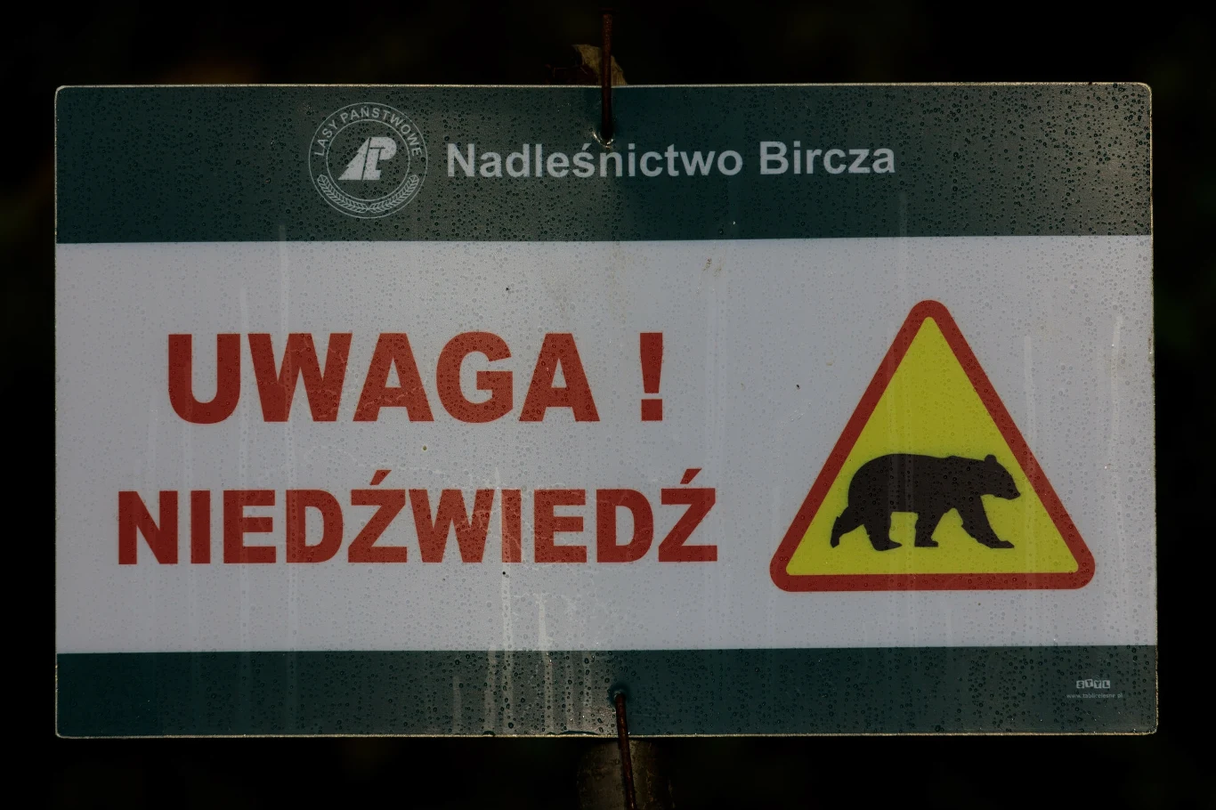 Znak ostrzegawczy na Pogórzu Przemyskim Znak ostrzegawczy na Pogórzu Przemyskim