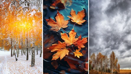 Jak prognozuje IMGW, w tym tygodniu trzeba się liczyć z silnym wiatrem, dużym zachmurzeniem oraz opadami deszczu i śniegu przez praktycznie cały czas