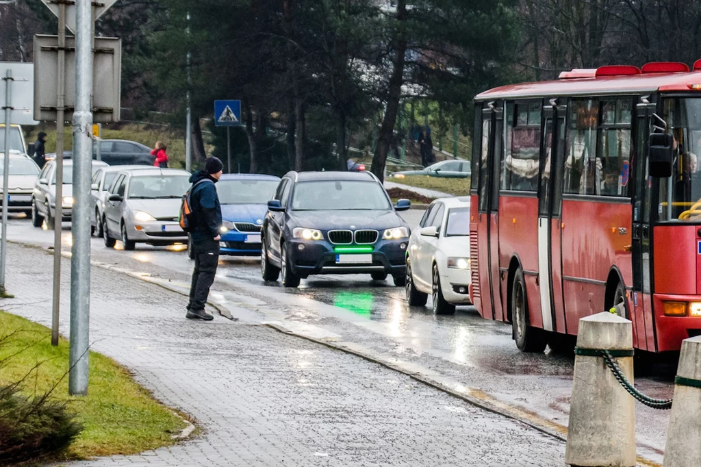 Wyniki testów na Słowacji są jednoznaczne. Zdecydowana większość testujących opowiedziała się za wprowadzeniem zielonego przedniego światła stopu/ fot. frontbrakelights.com