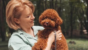 Rasy psów idealne dla alergików. Możesz trzymać je w domu pomimo uczulenia