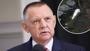 "Złota alga obnażyła niemoc państwa". NIK ostro o reakcji na zatrucie Odry