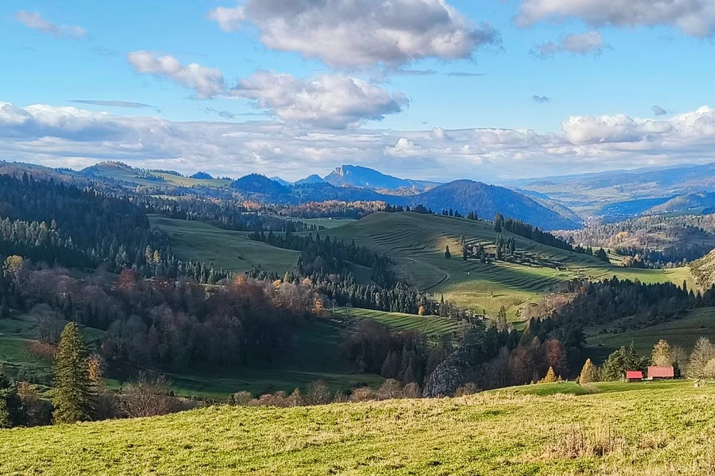 Przełęcz Rozdziela to obowiązkowy punkt widokowy podczas wyprawy w Małe Pieniny