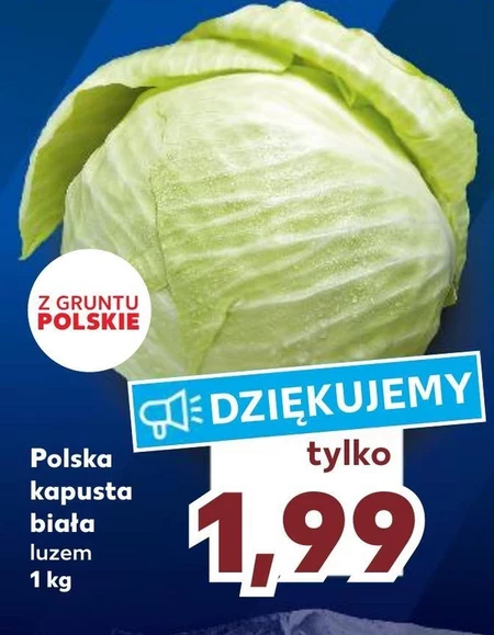 Kapusta biała