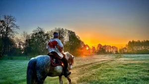 "Robi wrażenie! Poruszający, bardzo potrzebny film" - mówi o "Powstańcu 1863" Jerzy Hoffman