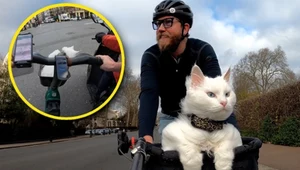 Został potrącony, jadąc z kotem na rowerze. Reakcja policji zaskakuje