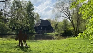 Ukryte "miasto" w holenderskim lesie. Tu wakacje trwają przez cały rok