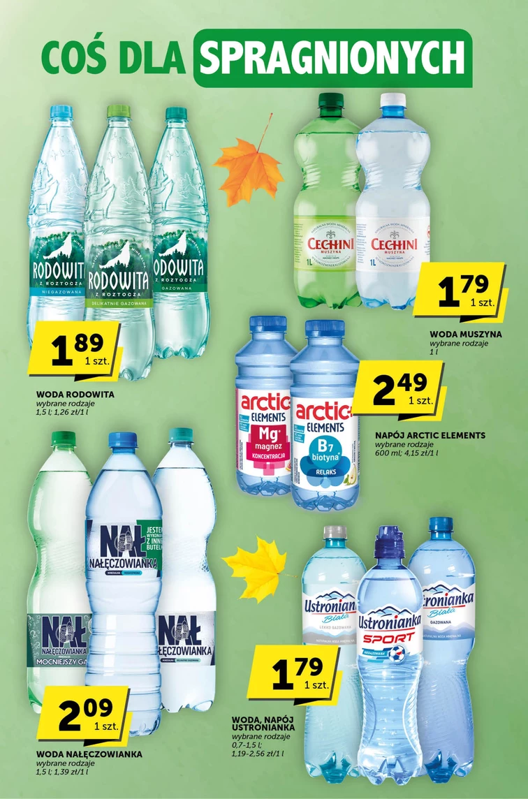 leaflet page preview image