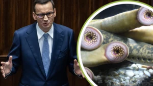 Premier Morawiecki zaskoczył. W Sejmie mówił o tajemniczych wampirach