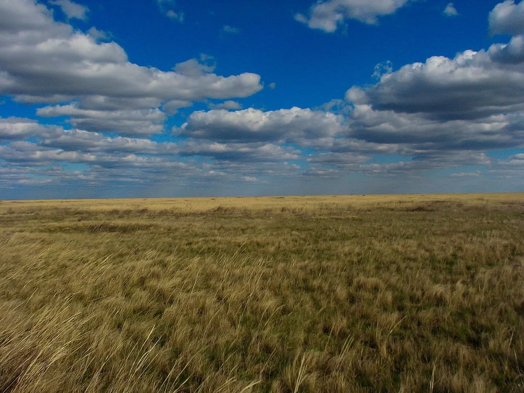 Ukraina - ostatnie stepy Eurazji