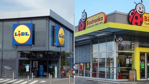 Porównano marki własne najpopularniejszych dyskontów spożywczych w Polsce, m.in. Lidla i Biedronki