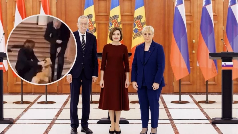 Prezydent Austrii chciał pogłaskać psa Mai Sandu. Zwierzak ugryzł go w dłoń Prezydent Austrii chciał pogłaskać psa Mai Sandu. Zwierzak ugryzł go w dłoń