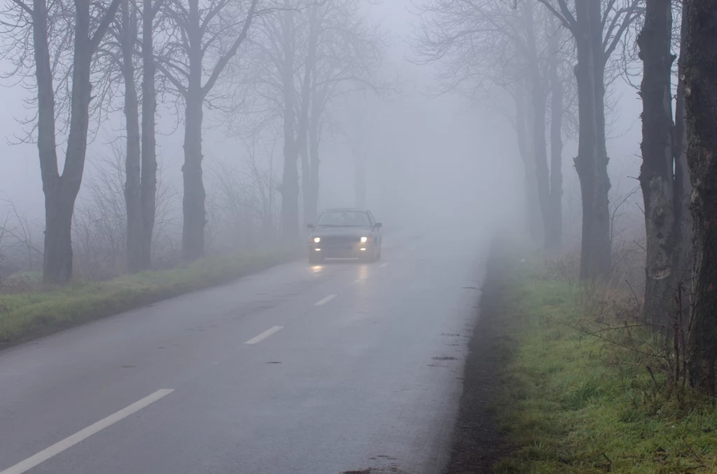 O tym, kiedy kierowca powinien włączyć światła przeciwmgielne, mówią jasno przepisy